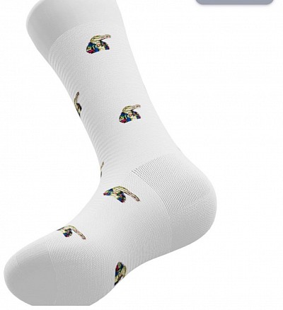 #LORGatorSocks